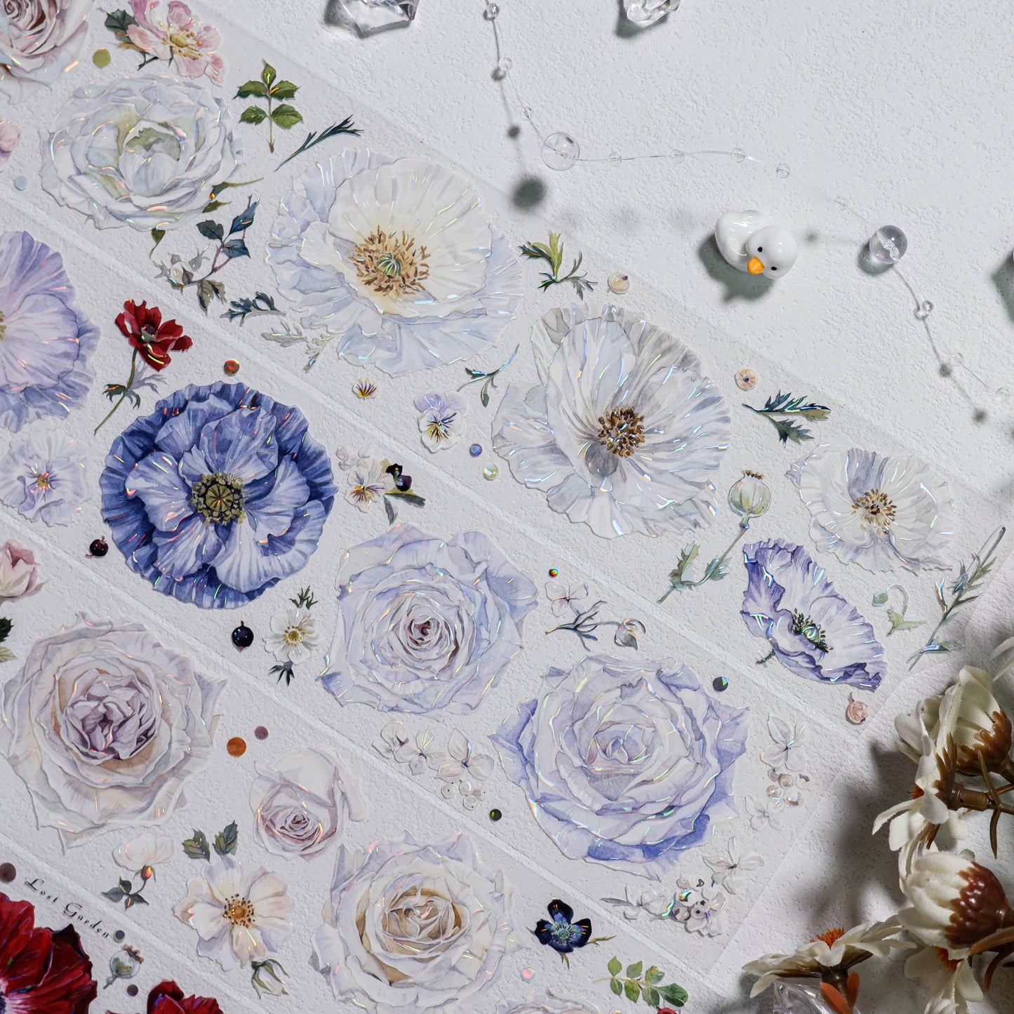 Lost Garden (迷失花园)