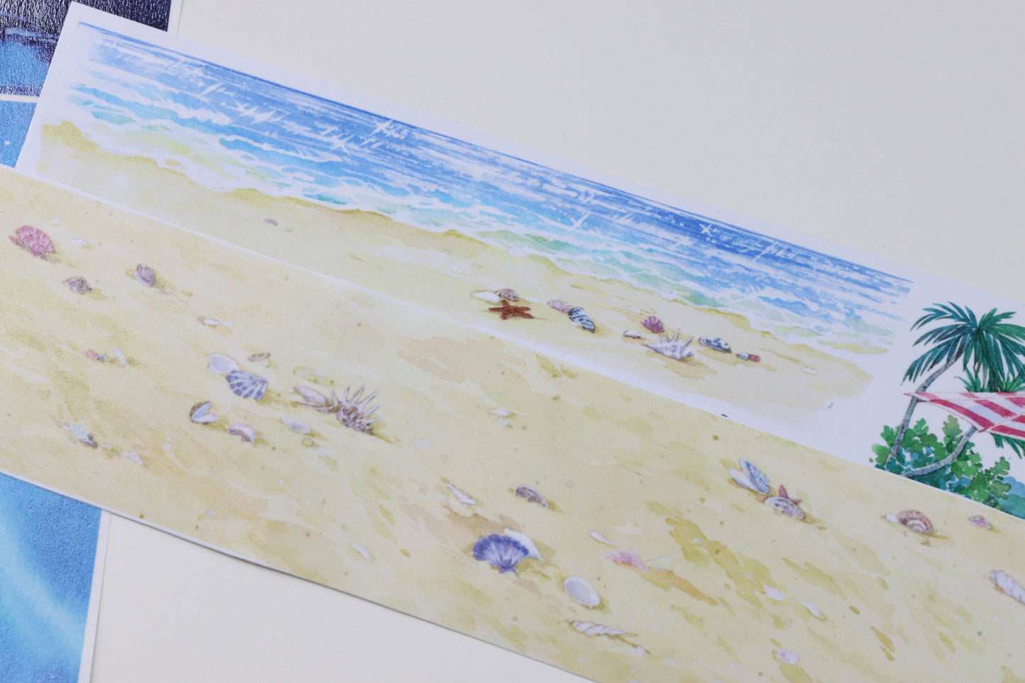 Seaside Treasures (贝壳沙滩)