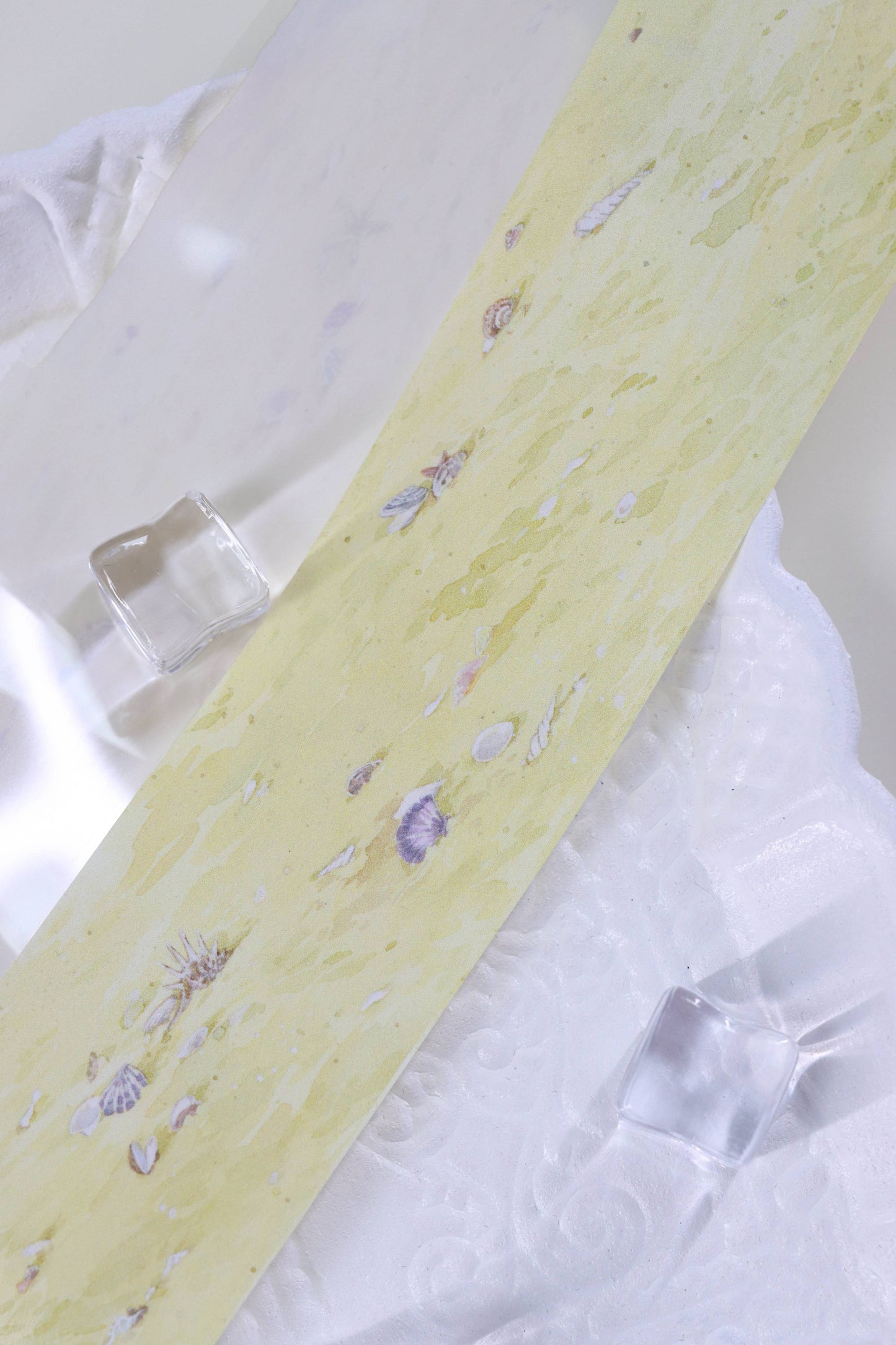 Seaside Treasures (贝壳沙滩)