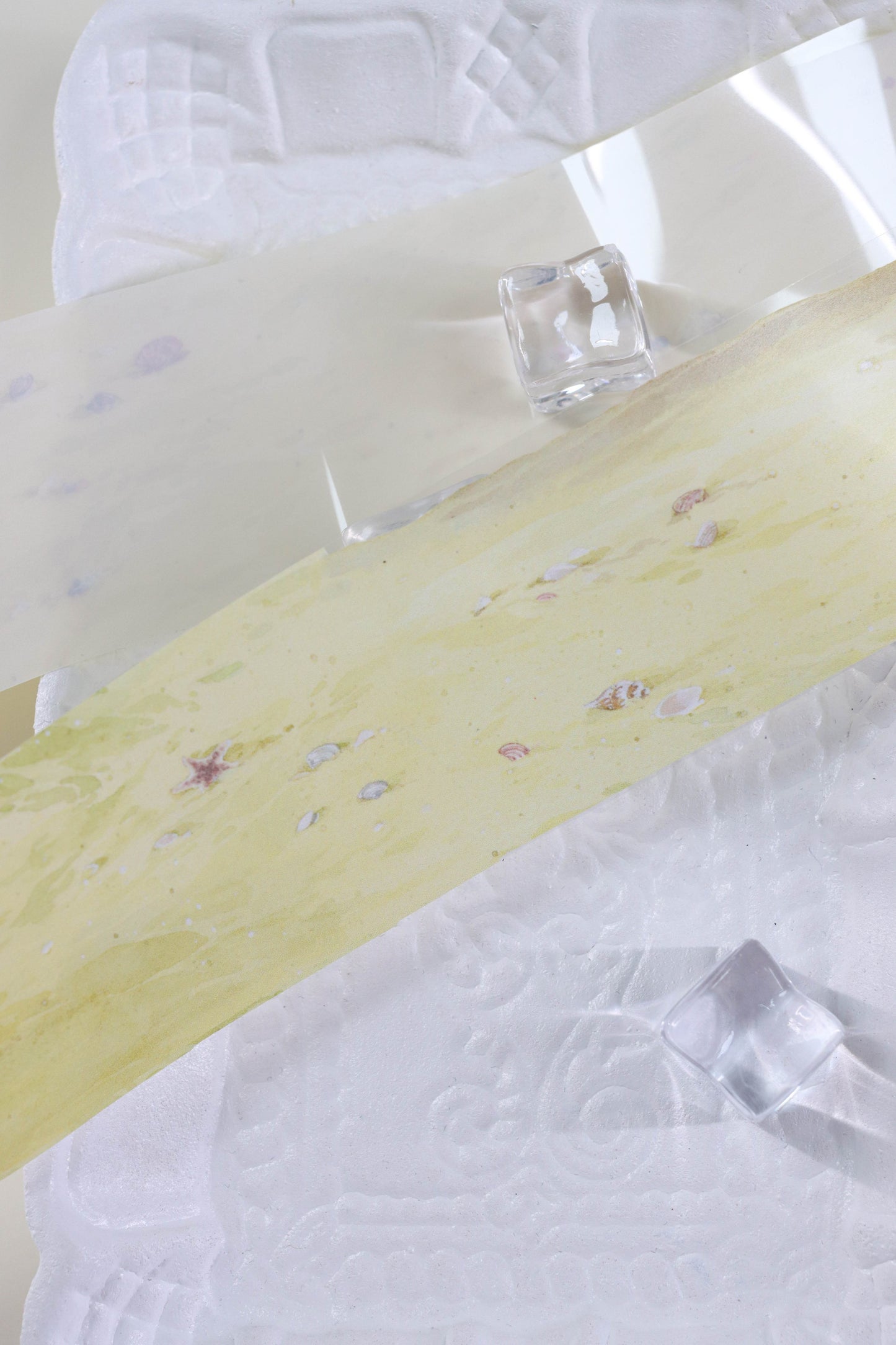 Seaside Treasures (贝壳沙滩)