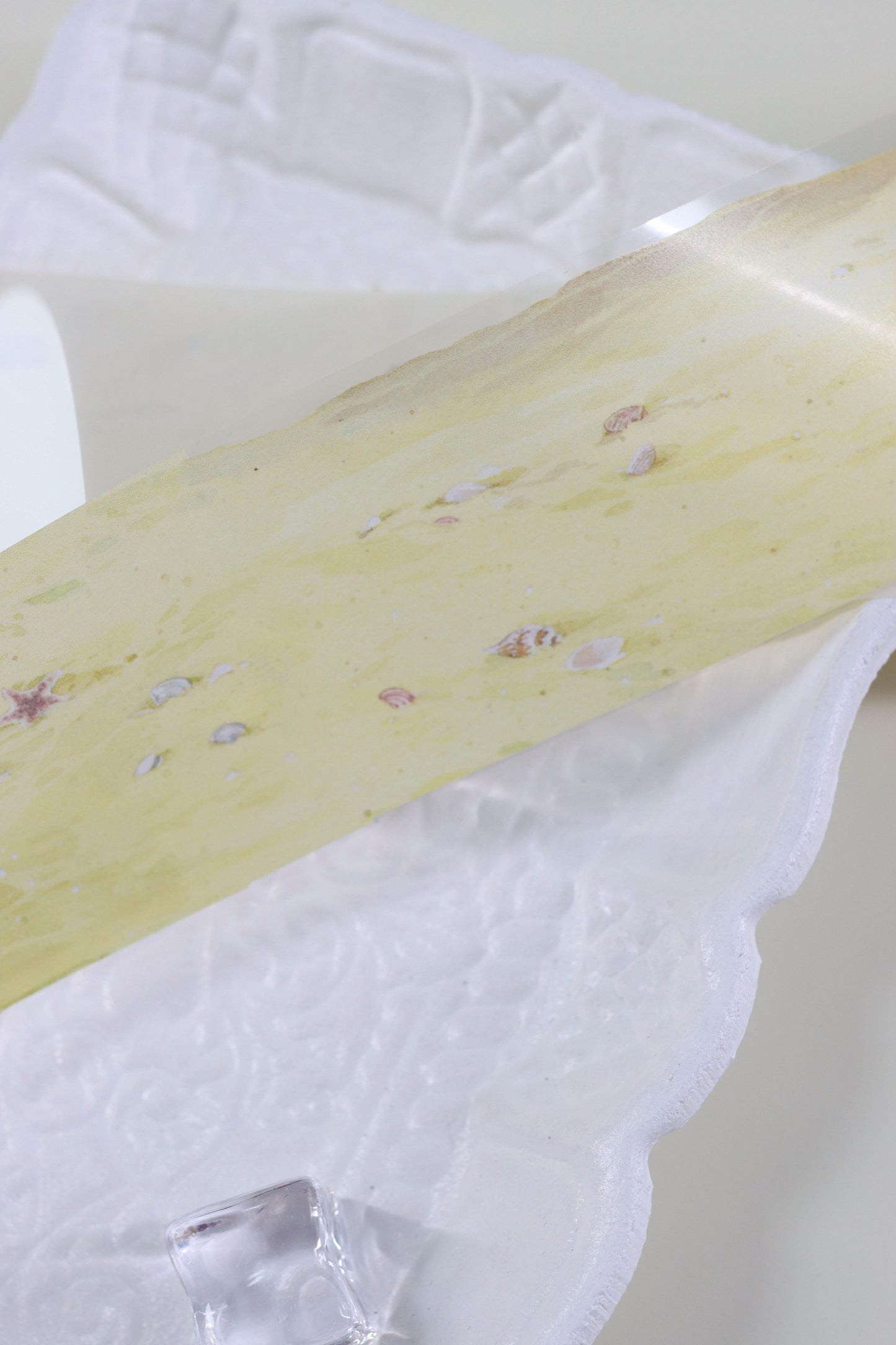 Seaside Treasures (贝壳沙滩)